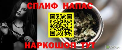 не бодяженный Гай