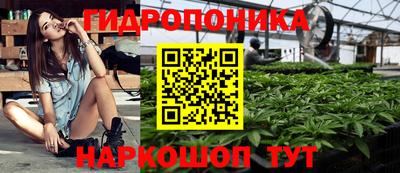 крисы Гагарин