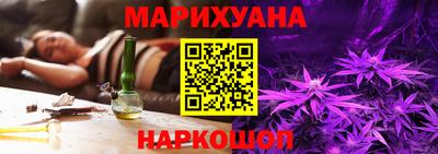 не бодяженный Гай