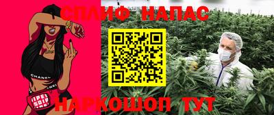 не бодяженный Гай
