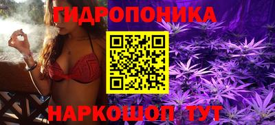 крисы Гагарин