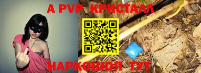 крисы Гагарин