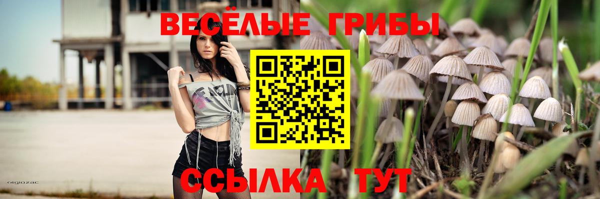 Псилоцибиновые грибы мицелий Долгопрудный
